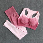 2 Piece Ombre Yoga Sports Bra